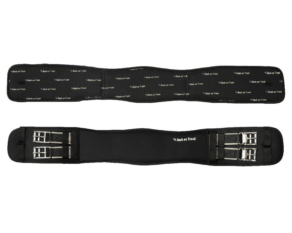 Dressage Elastic Girth