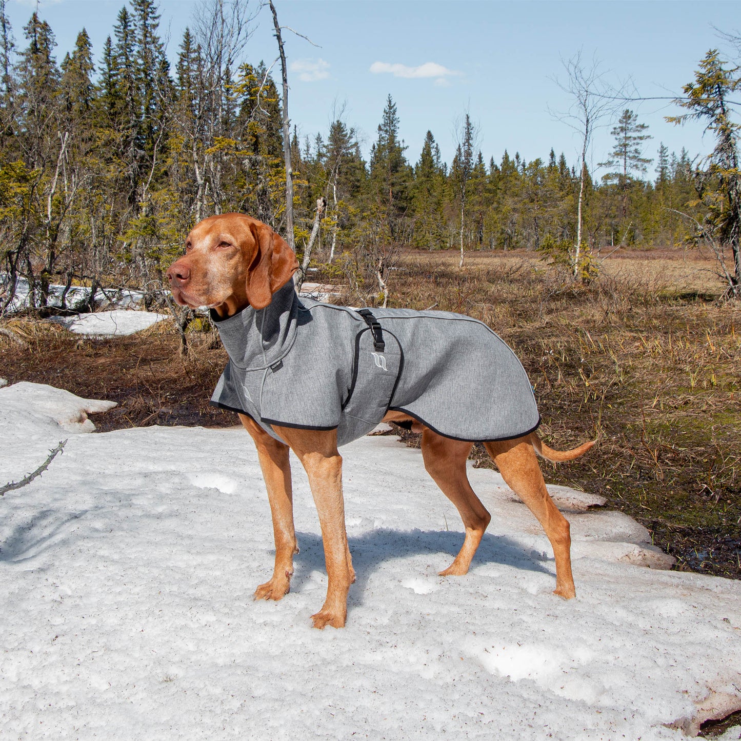 Nella Dog Coat