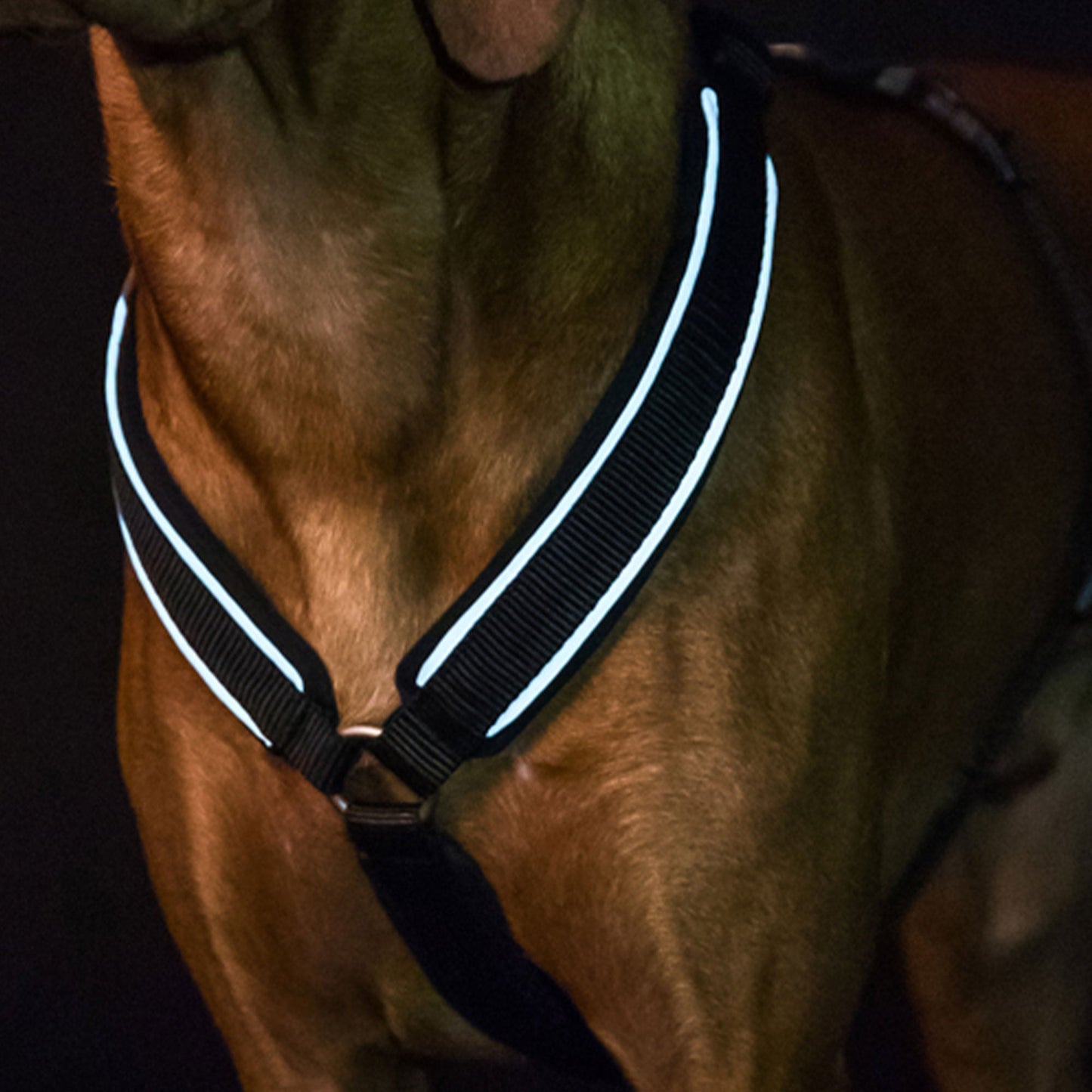 Max Dog Harness