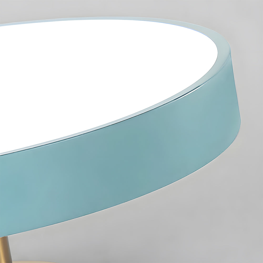 Modern Circular LED Flush Mount Ceiling Light With Iron Frame