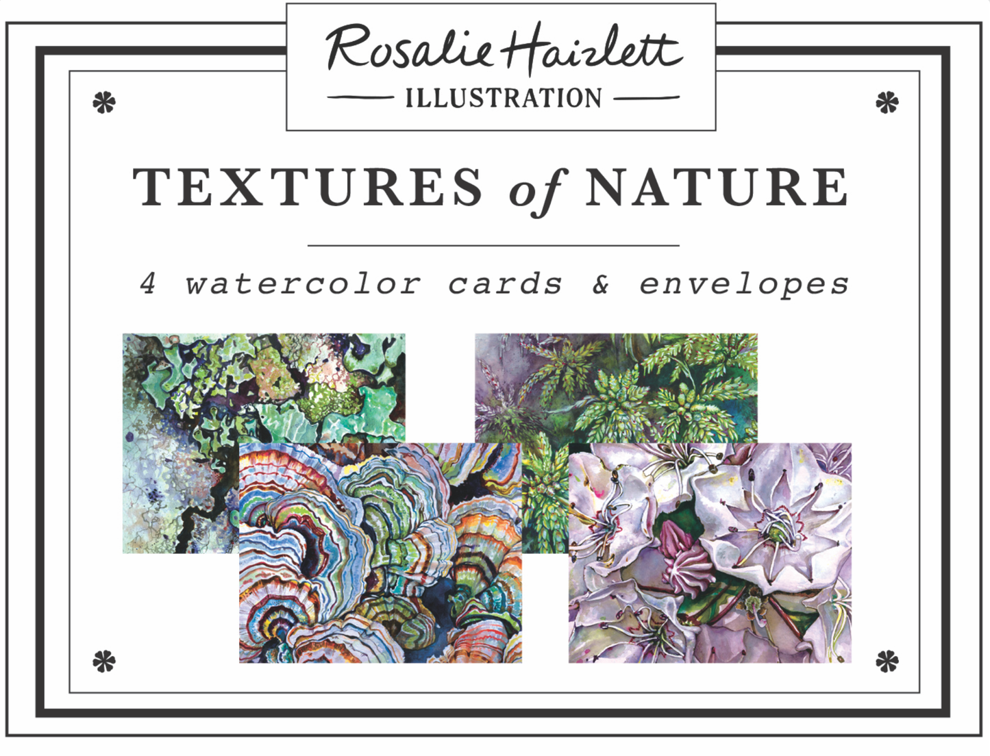 Rosalie Haizlett Illustration - Textures of Nature - Set of 4 Assorted Greeting Cards