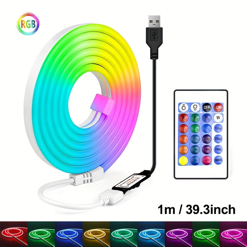 5m RGB LED Neon Light Strip with USB  Remote-EUAD
