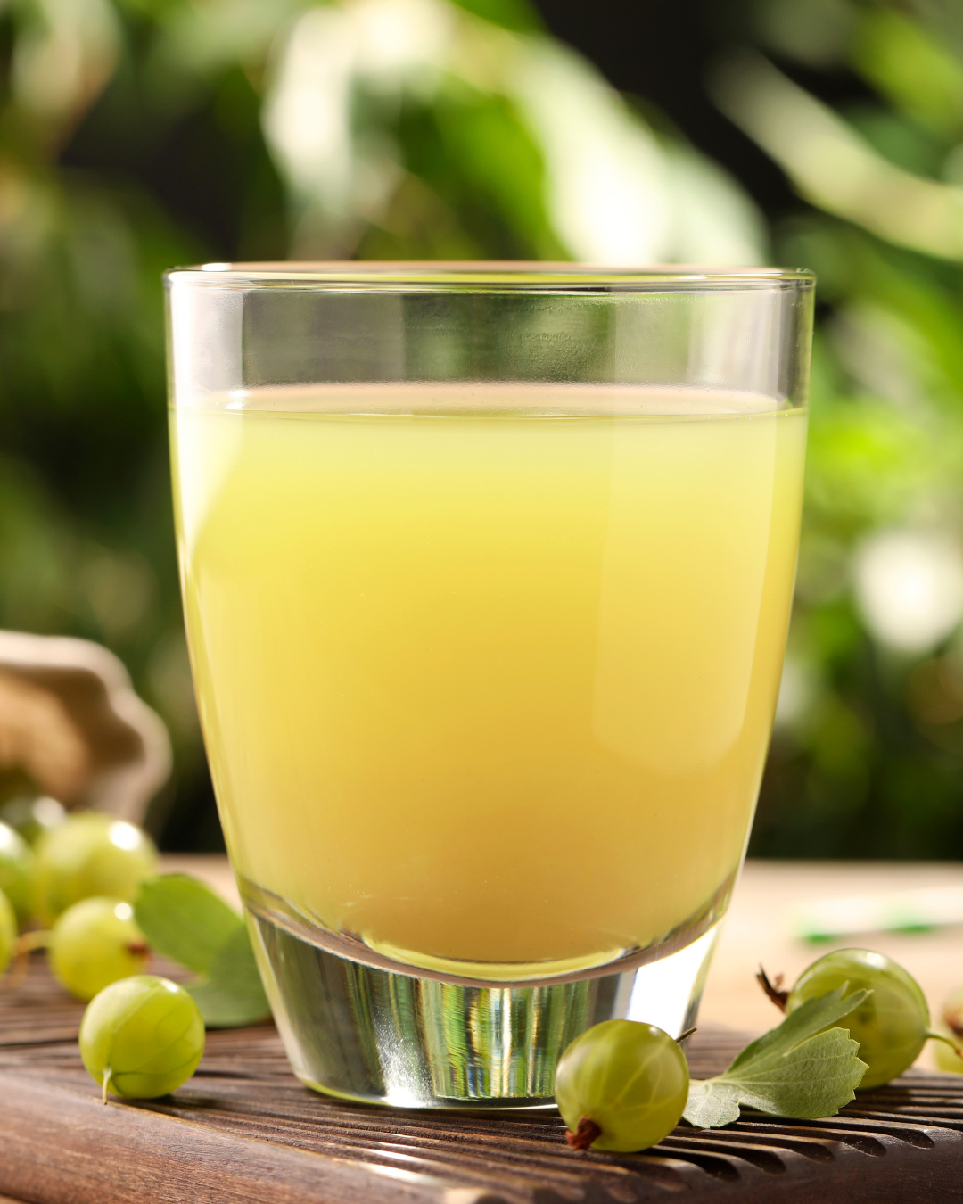 Extract Amla Oil Soluble