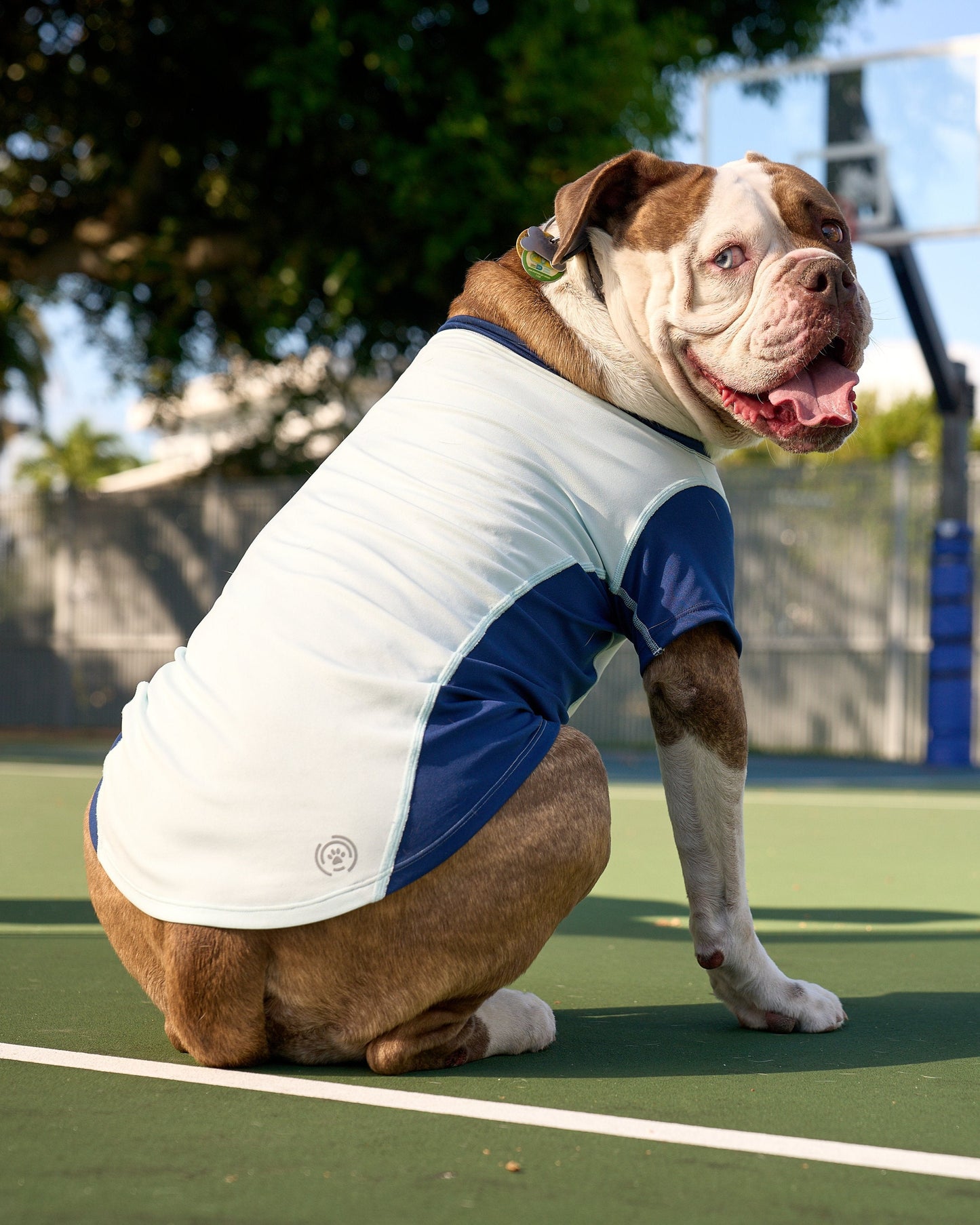 BarkUV - UNISEX DOG SUN SHIRT (7000)