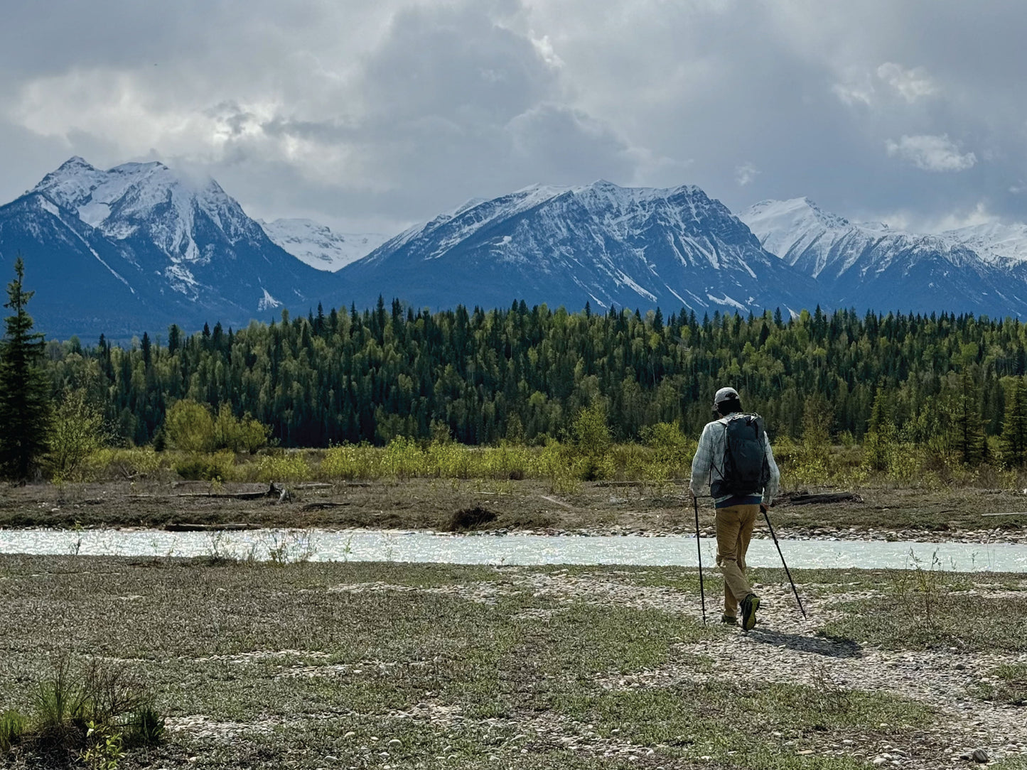 Iceline Trekking Poles