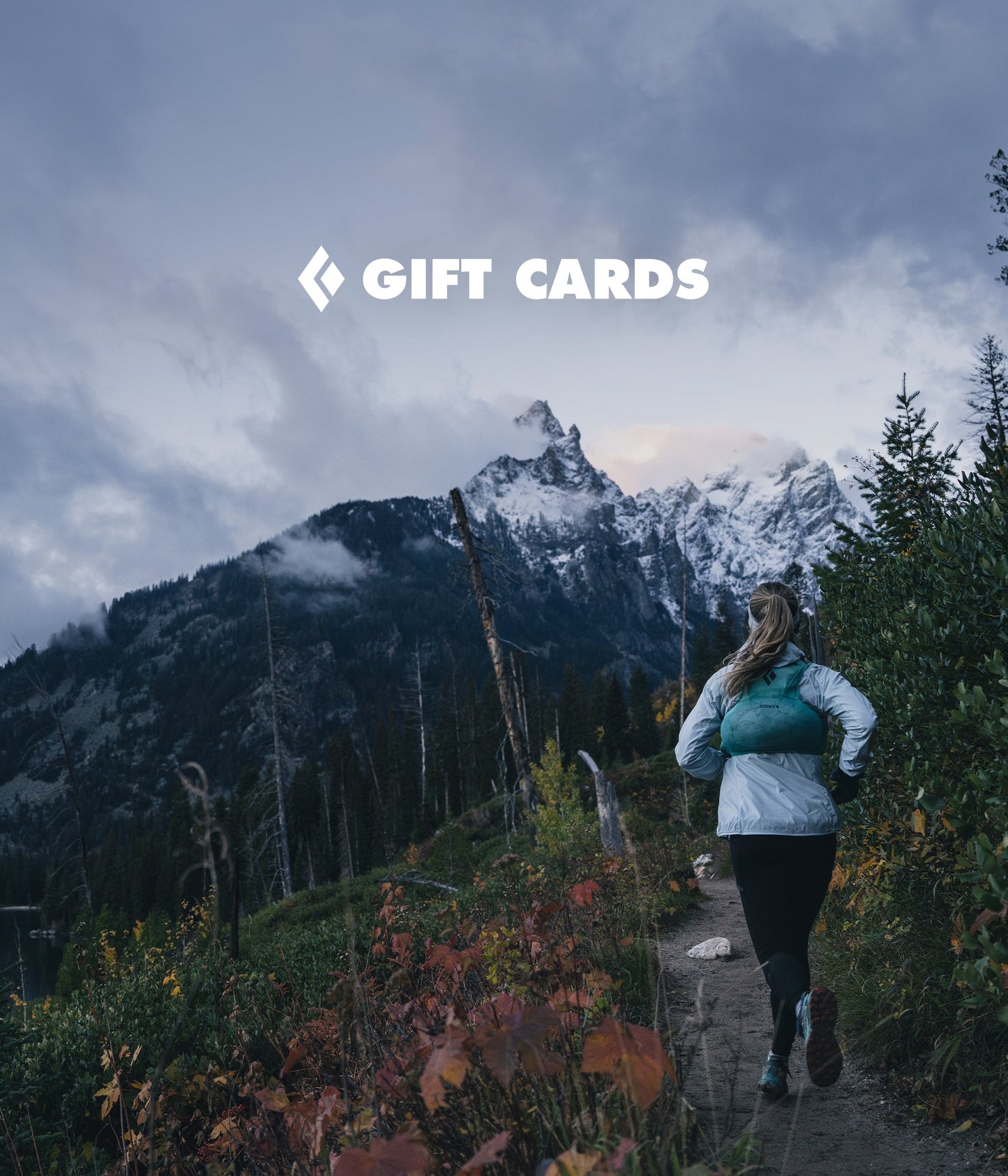 eGIFT CARDS
