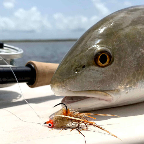 Sight Cast Longhorn Crab