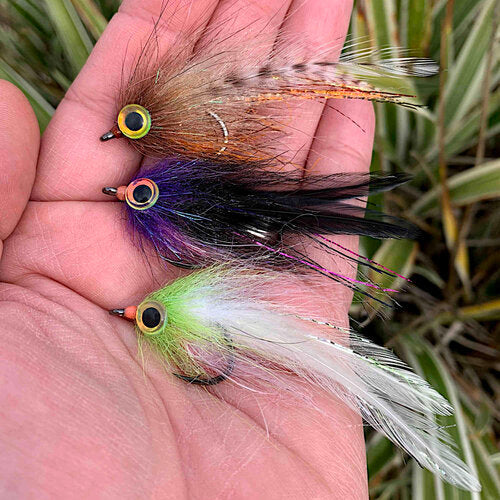 Sight Cast Matagorda Mullet