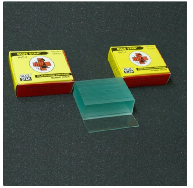 Micro Slides Bluestar