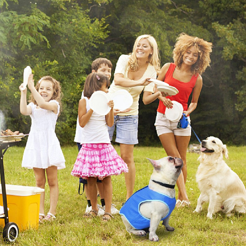 Cooling Dog Vest for Summer