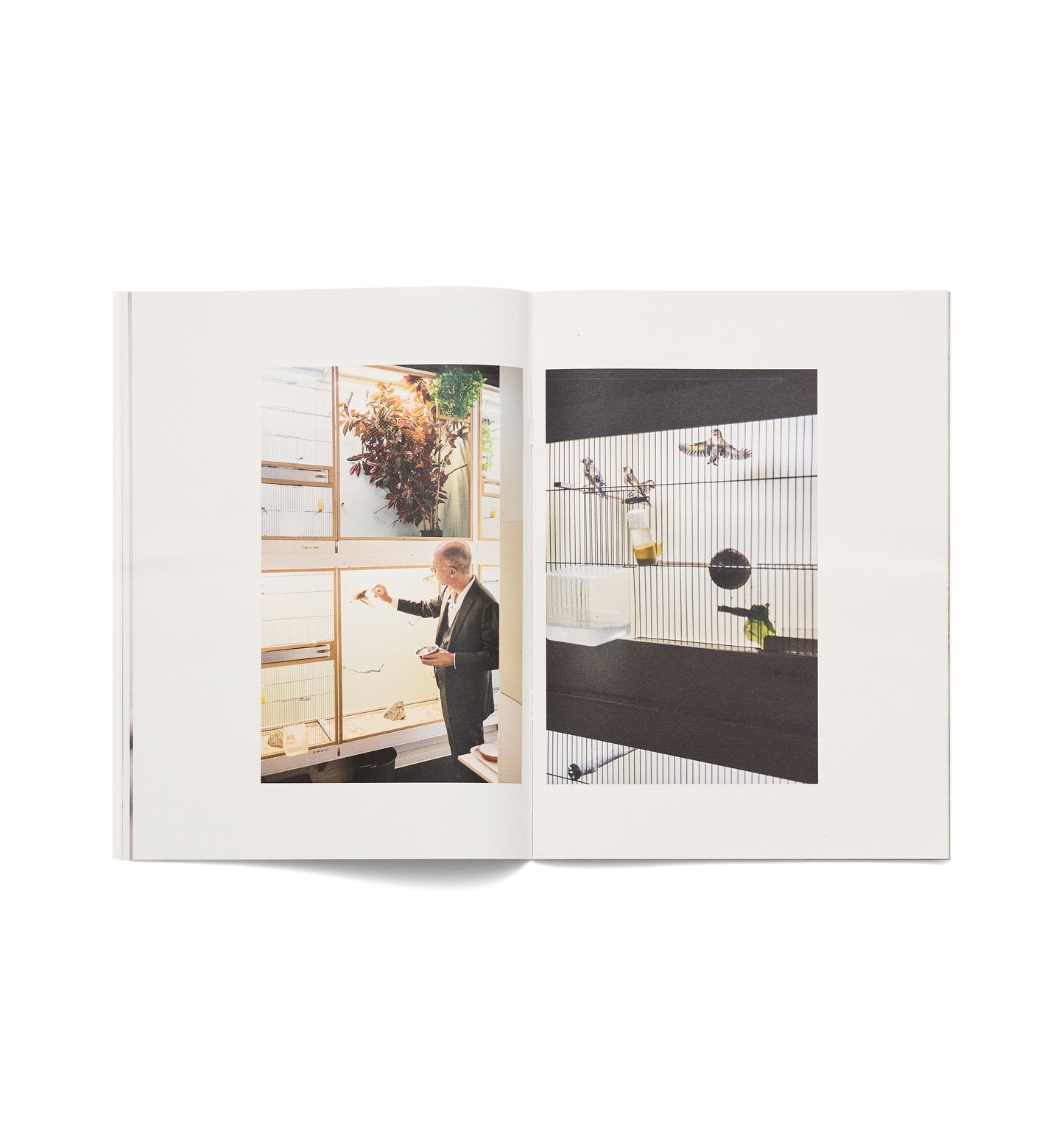 PURPLE FASHION MAGAZINE - S/S 2017 ISSUE 27