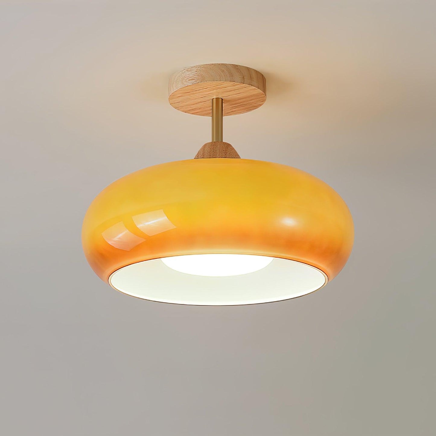 Glass Shade Ceiling Light With Wood Canopy