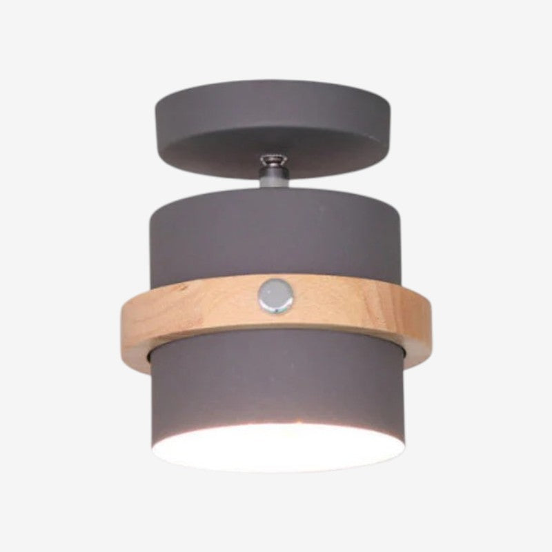 Rotating Flush Mount Ceiling Light LED Dimmable