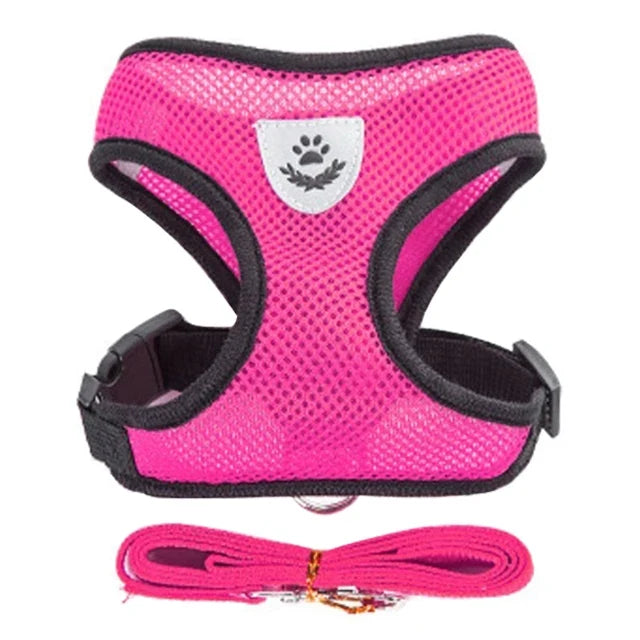 Breathable Mesh Harness & Leash