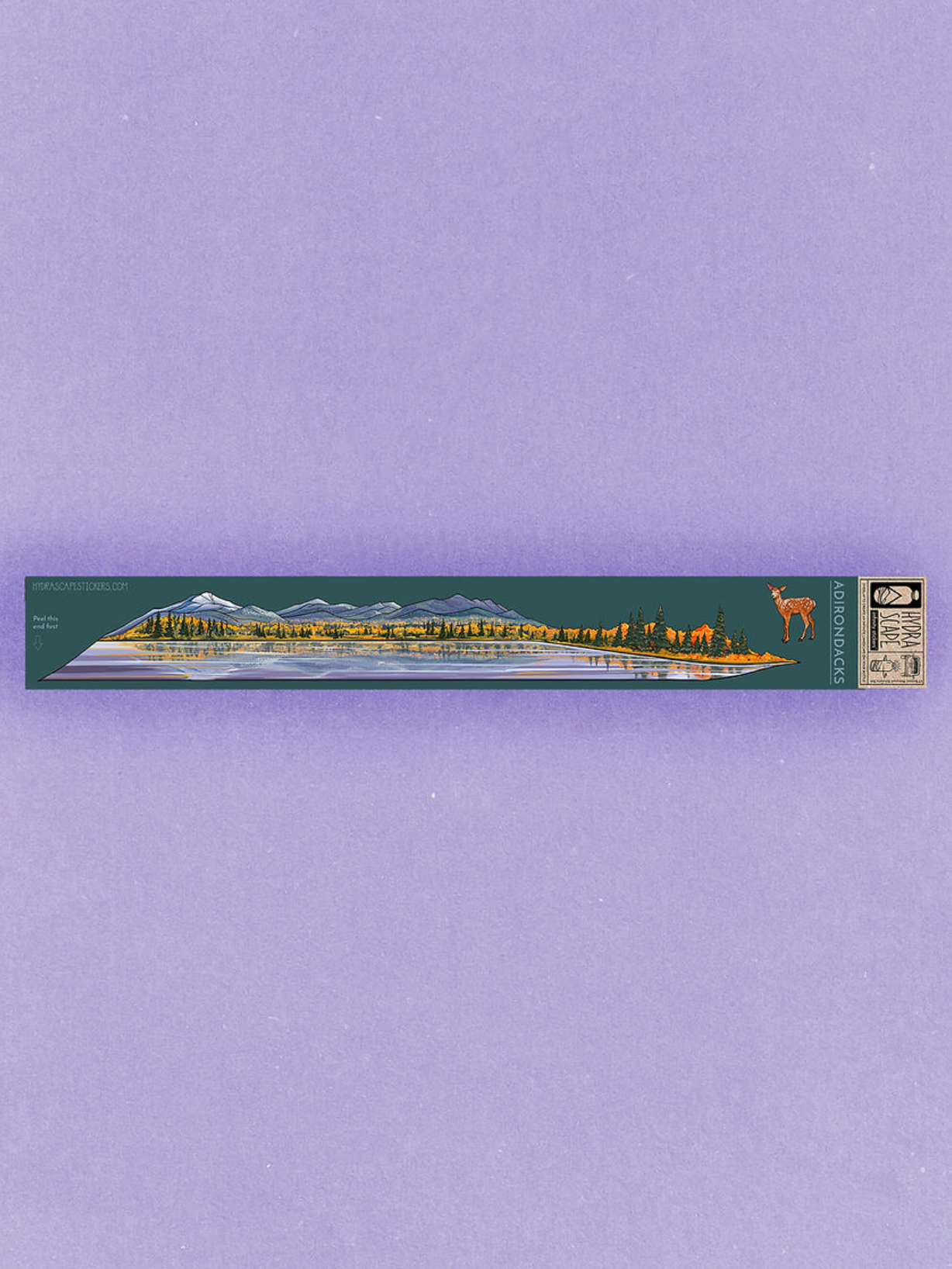 Adirondacks Infinity Sticker