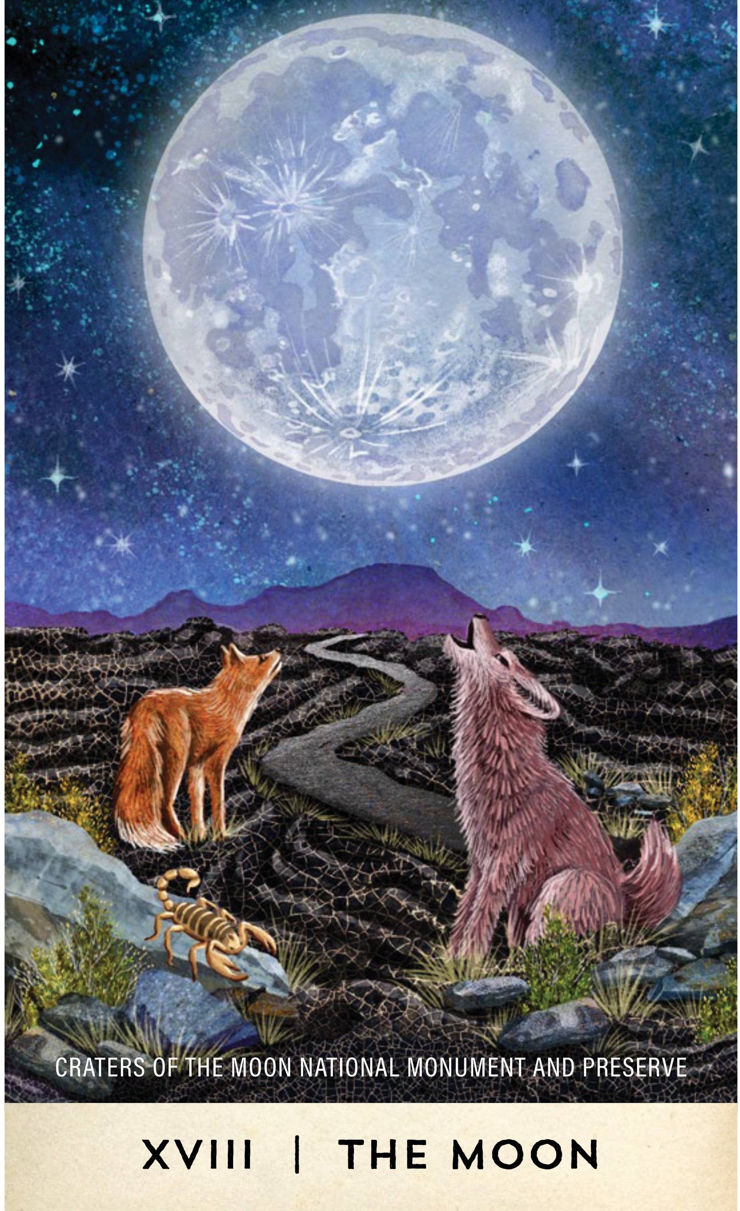 Mountaineers Books - Tarot for the Great Outdoors: 78 Card Deck & Guidebook