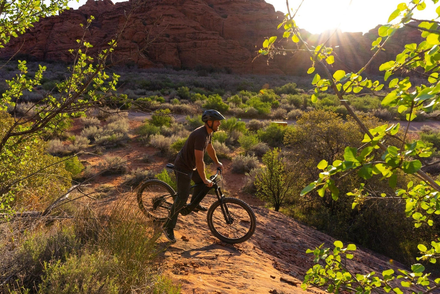 Bakcou - Carbon Alpha