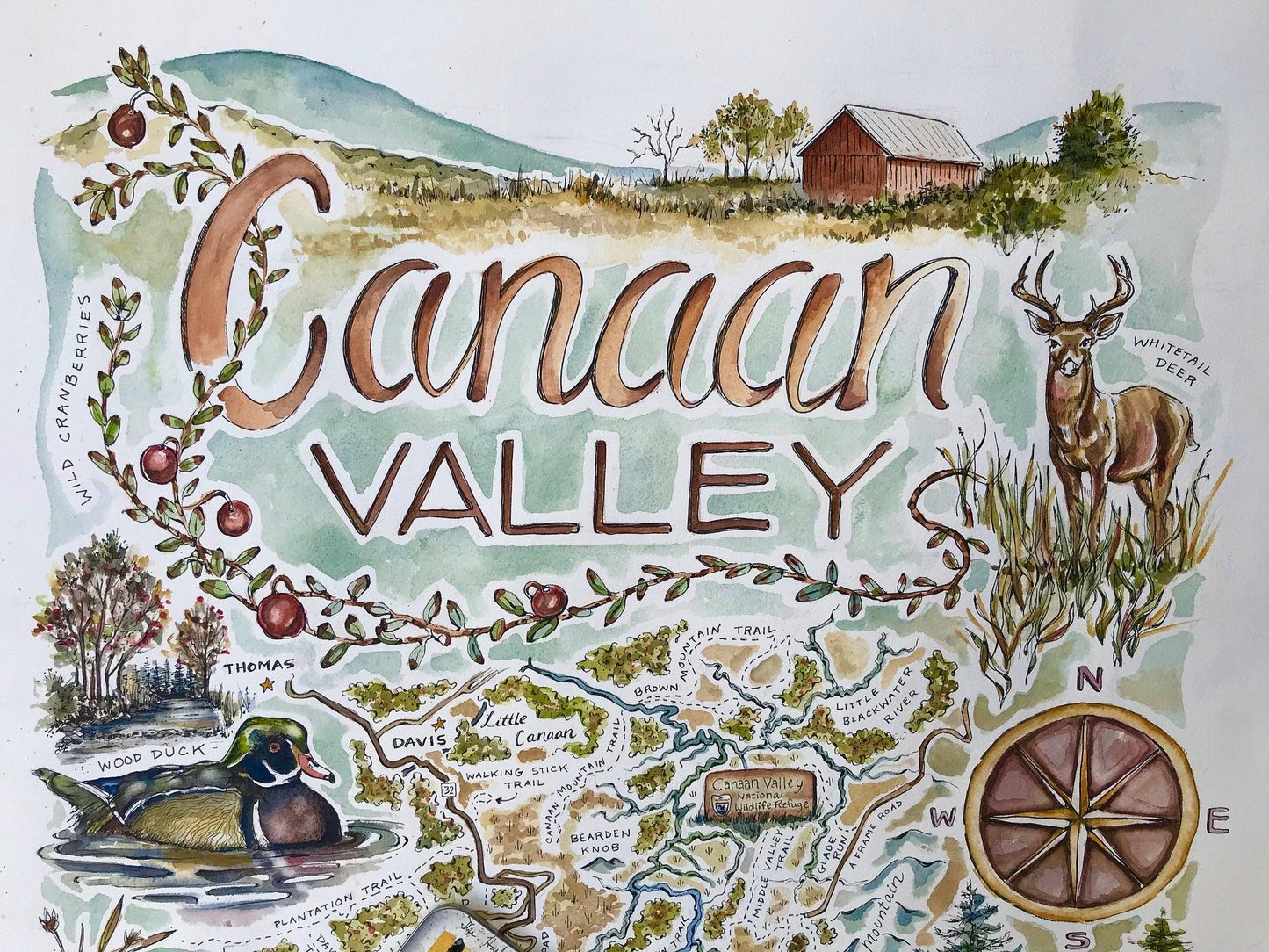 Rosalie Haizlett Illustration - Canaan Valley Waterproof Sticker