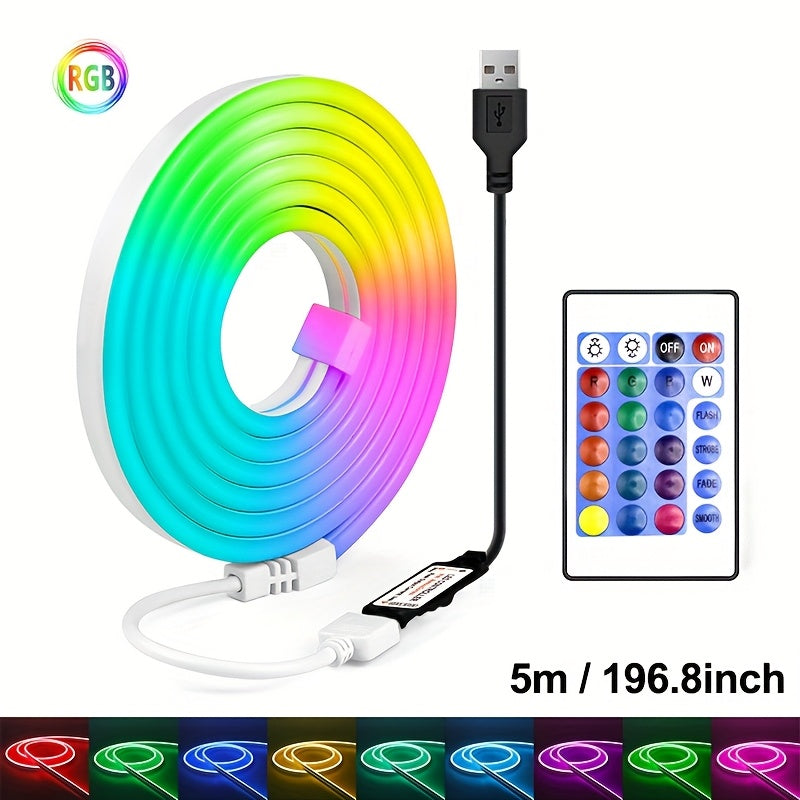 5m RGB LED Neon Light Strip with USB  Remote-EUAD