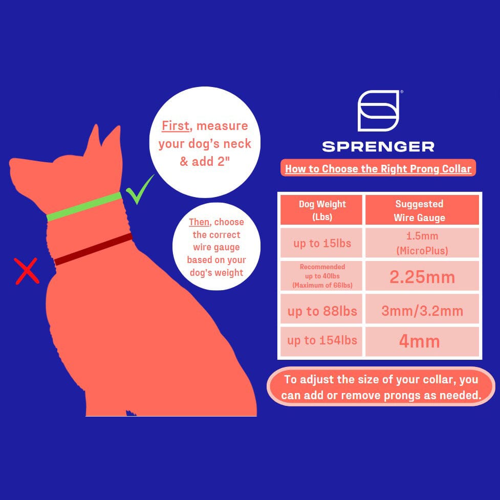 Dogline Herm Sprenger - ULTRA-PLUS Training Collar with Center-Plate and Assembly Chain - Short Version – Black Stainless Steel