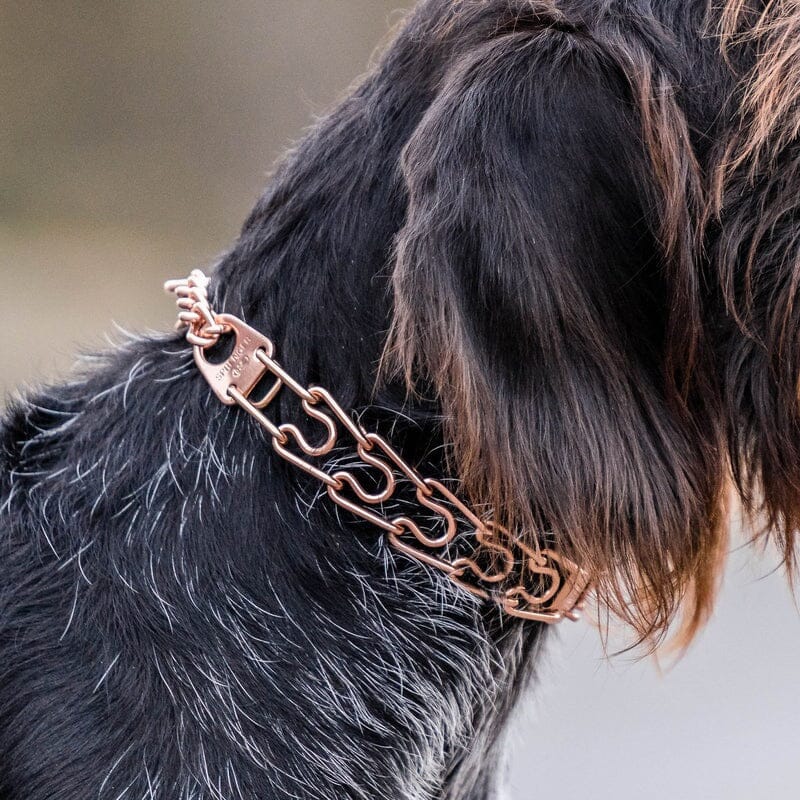 Dogline Herm Sprenger - ULTRA-PLUS Training Collar with Center-Plate and Assembly Chain - Short Version – Curogan