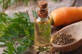 Oil Essential Carrot Seed (100% Natural)