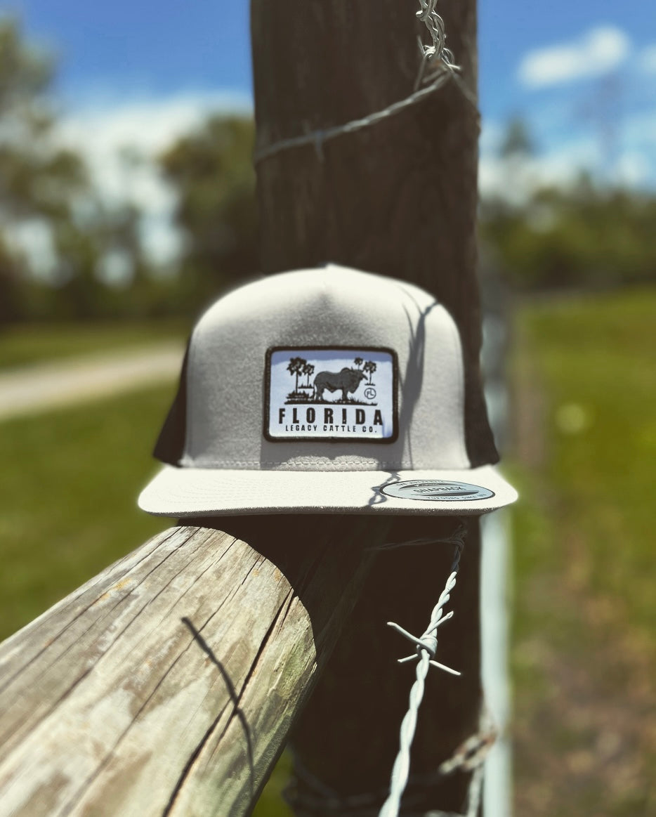 Florida Legacy Co. Silver Belly