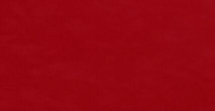 Colour Carmoisine Liquid