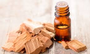 Fragrance Oil Sandalwood