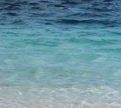 Fragrance Oil Aquafresh