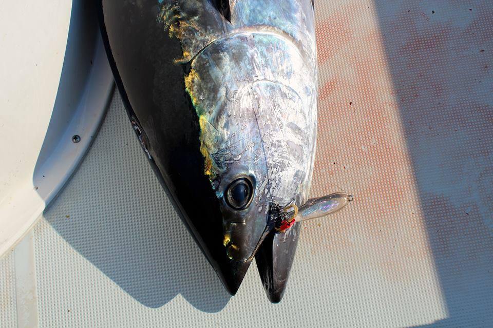 Point Jude Lures - Deep Force Slim Jig