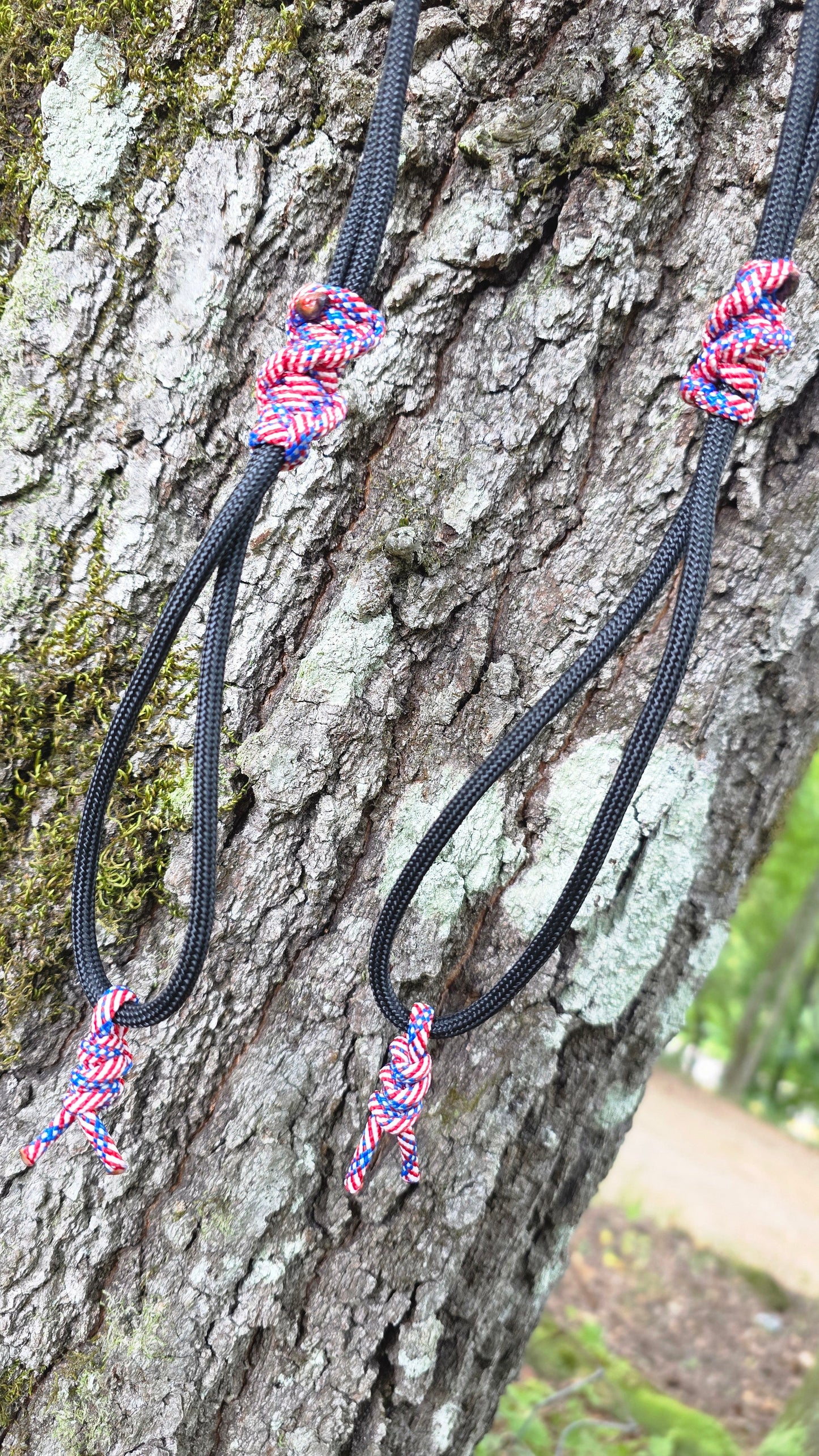 Turkey Tote (Red, White, Blue)