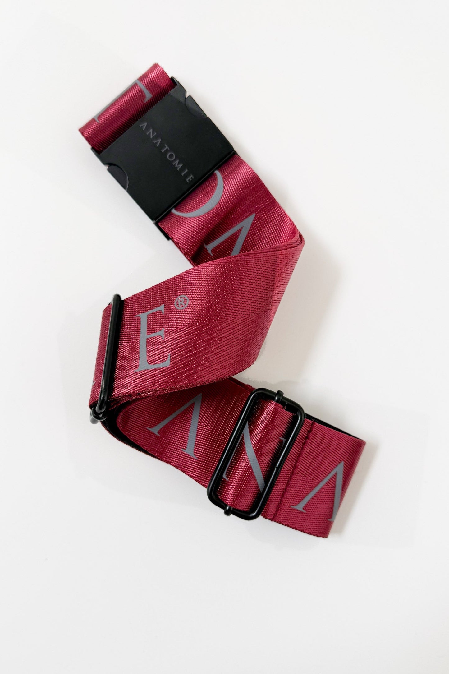 🎁 Luggage Travel Strap (100% off)