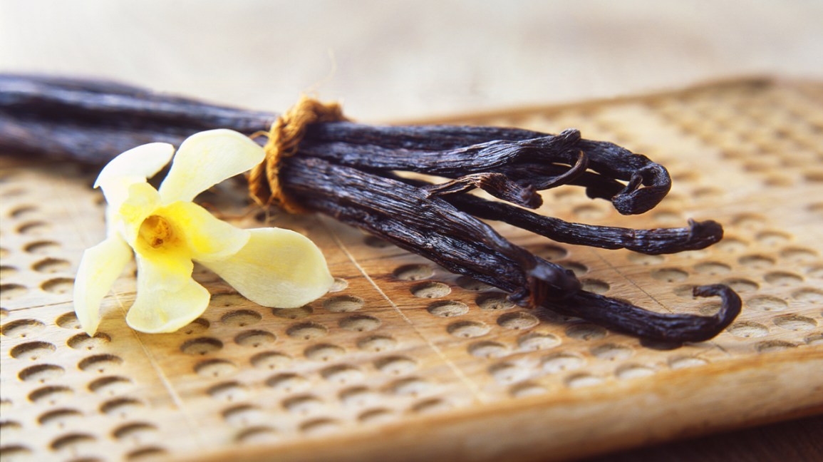 Fragrance Oil Vanilla