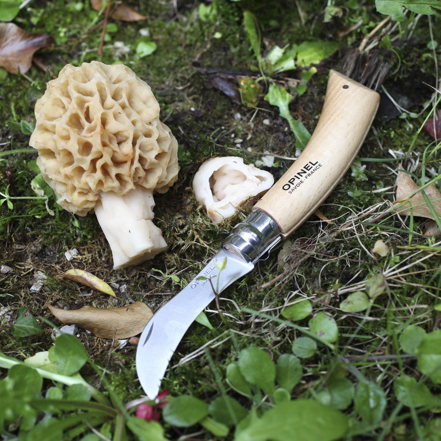 Opinel No. 08 Mushroom Knife