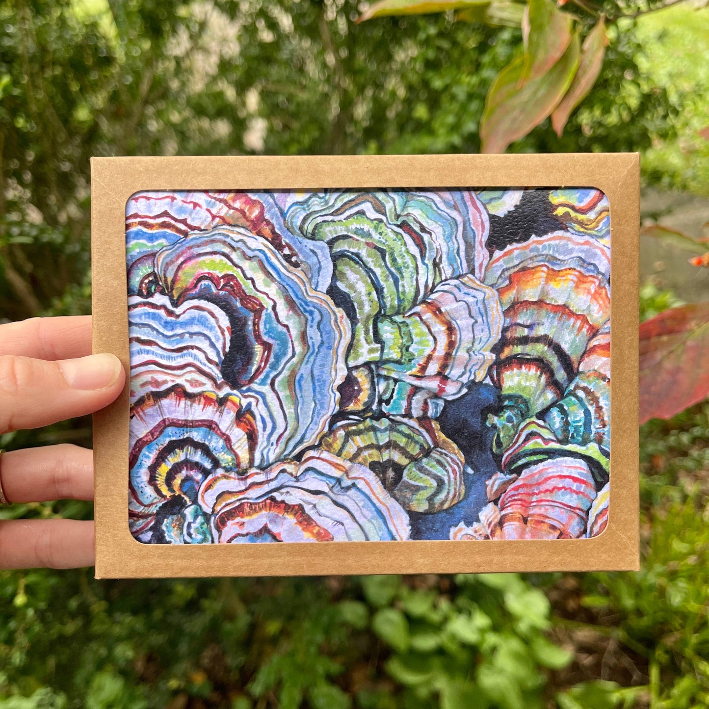 Rosalie Haizlett Illustration - Textures of Nature - Set of 4 Assorted Greeting Cards