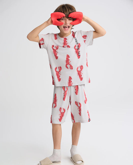 Aimer Kids Short-sleeve Tops Homewear Set For Boys