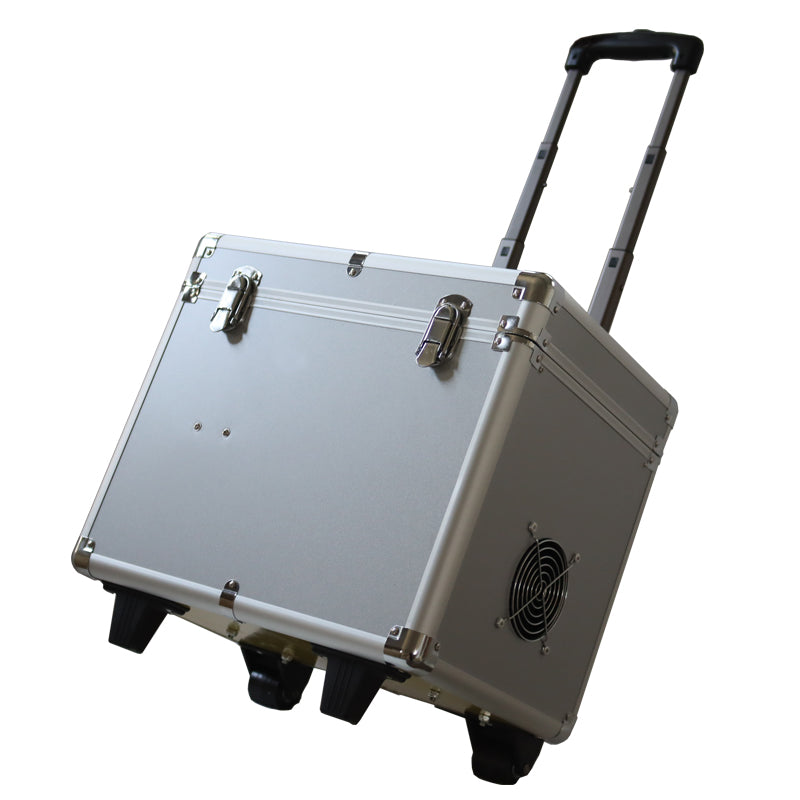 Portable Dental Treatment Apparatus
