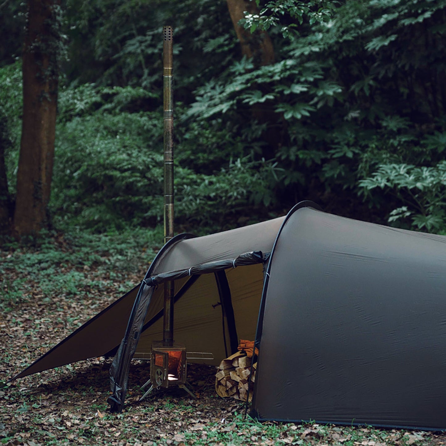 Tunnel Tent 1-2 Person Double Layers Waterproof Backpacking Tents with 2 Doors & Stove Jack 4 Seasons Tents with Portable Carry Bag