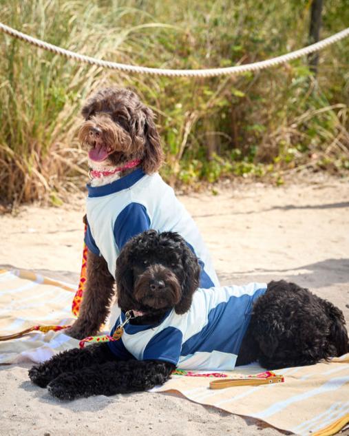 BarkUV -  UNISEX DOG SUN SHIRT (7000)