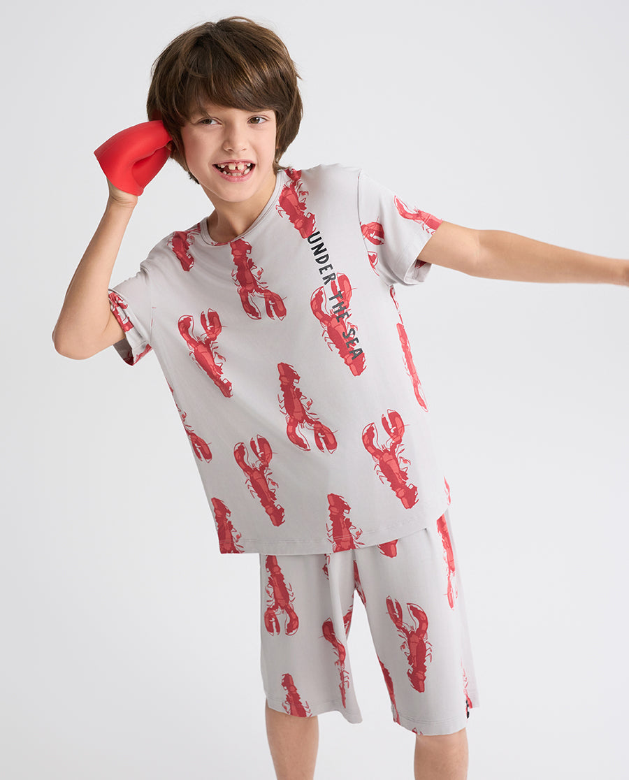 Aimer Kids Short-sleeve Tops Homewear Set For Boys