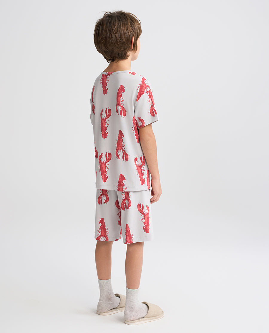 Aimer Kids Short-sleeve Tops Homewear Set For Boys