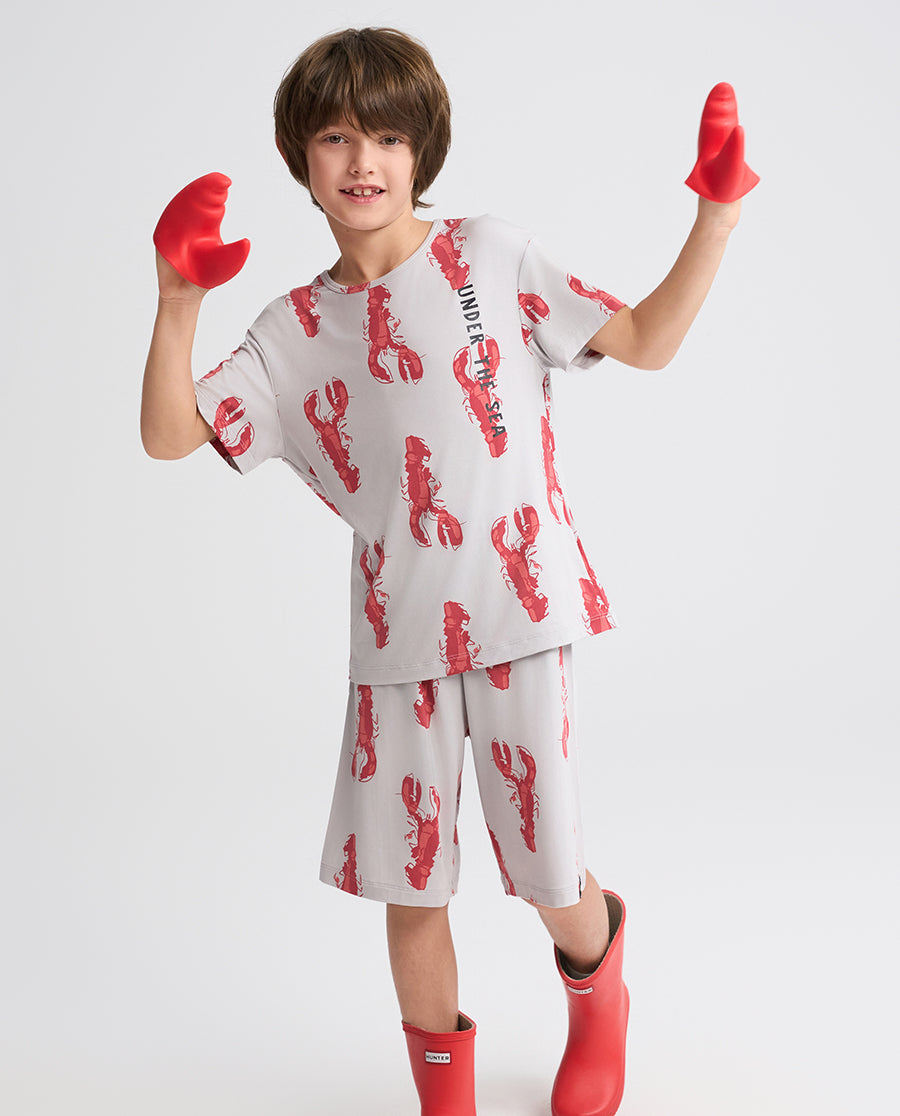 Aimer Kids Short-sleeve Tops Homewear Set For Boys
