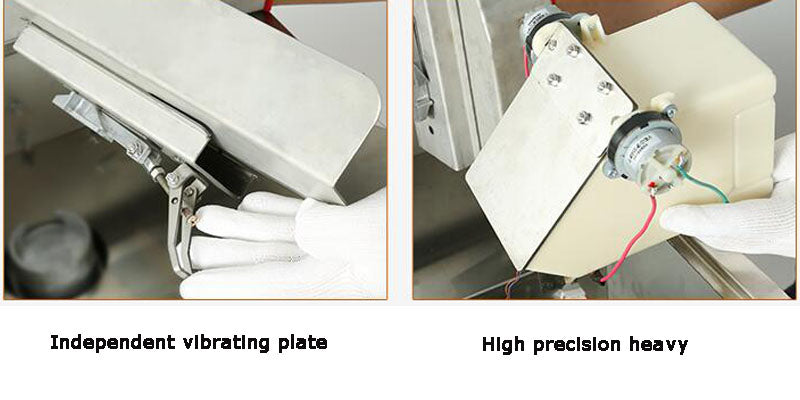 110V Autoweighing Powder Filling Machine 10-500g