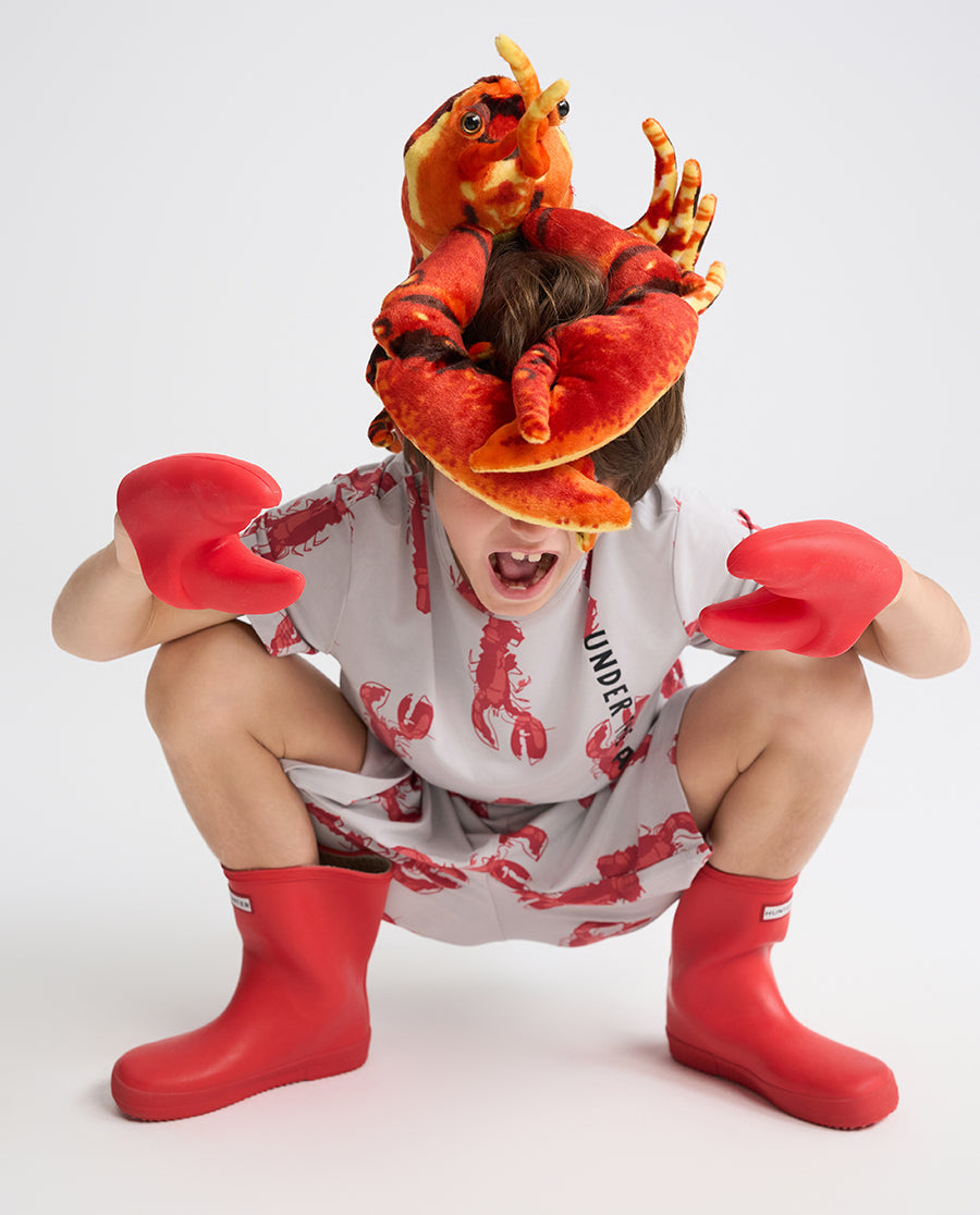 Aimer Kids Short-sleeve Tops Homewear Set For Boys