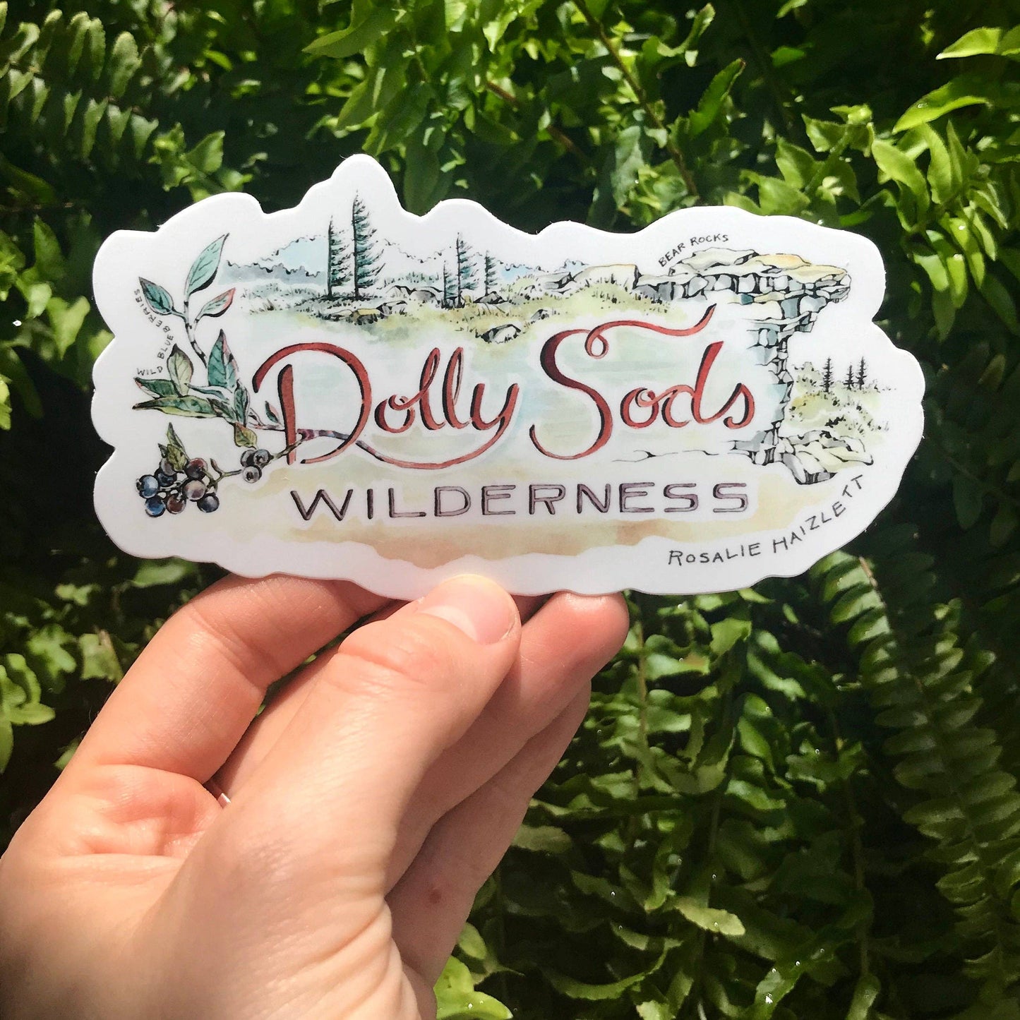 Rosalie Haizlett Illustration - Dolly Sods Wilderness Waterproof Sticker