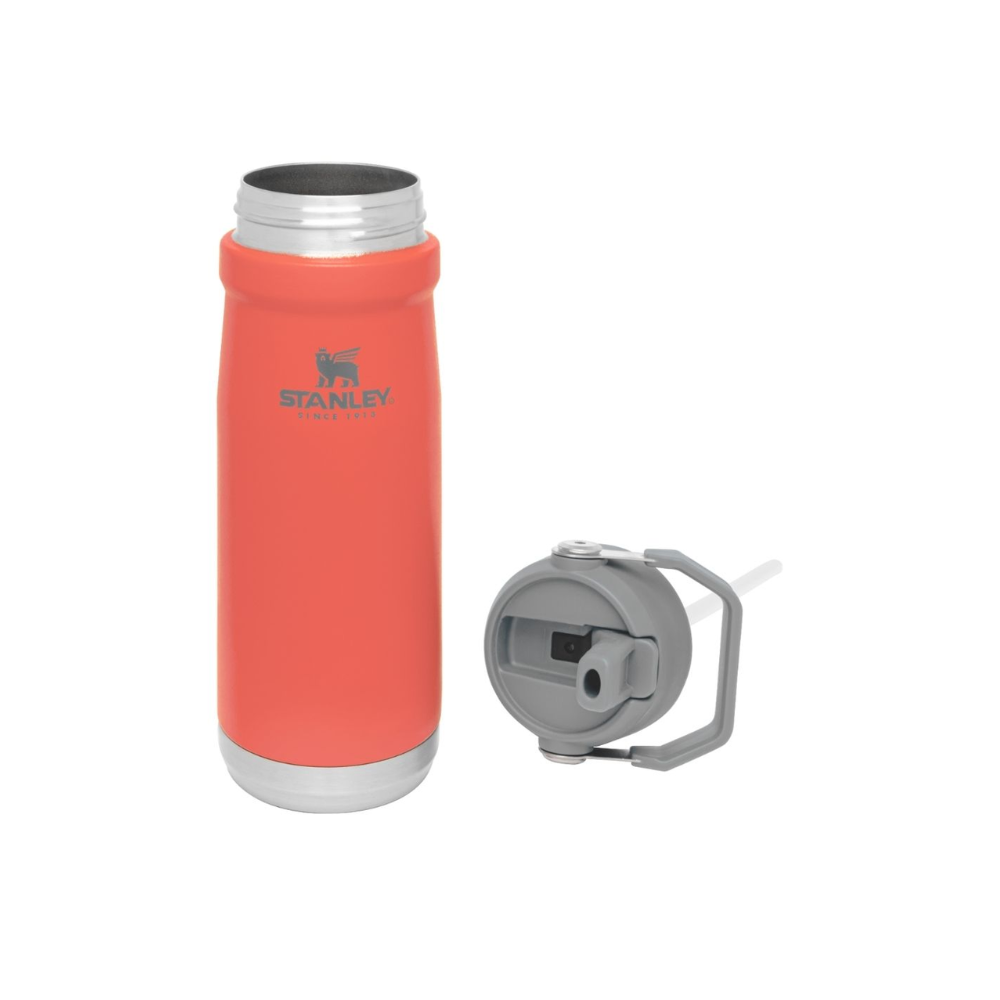 Stanley 17Oz Classic Flip Straw Wtr Btl Guava