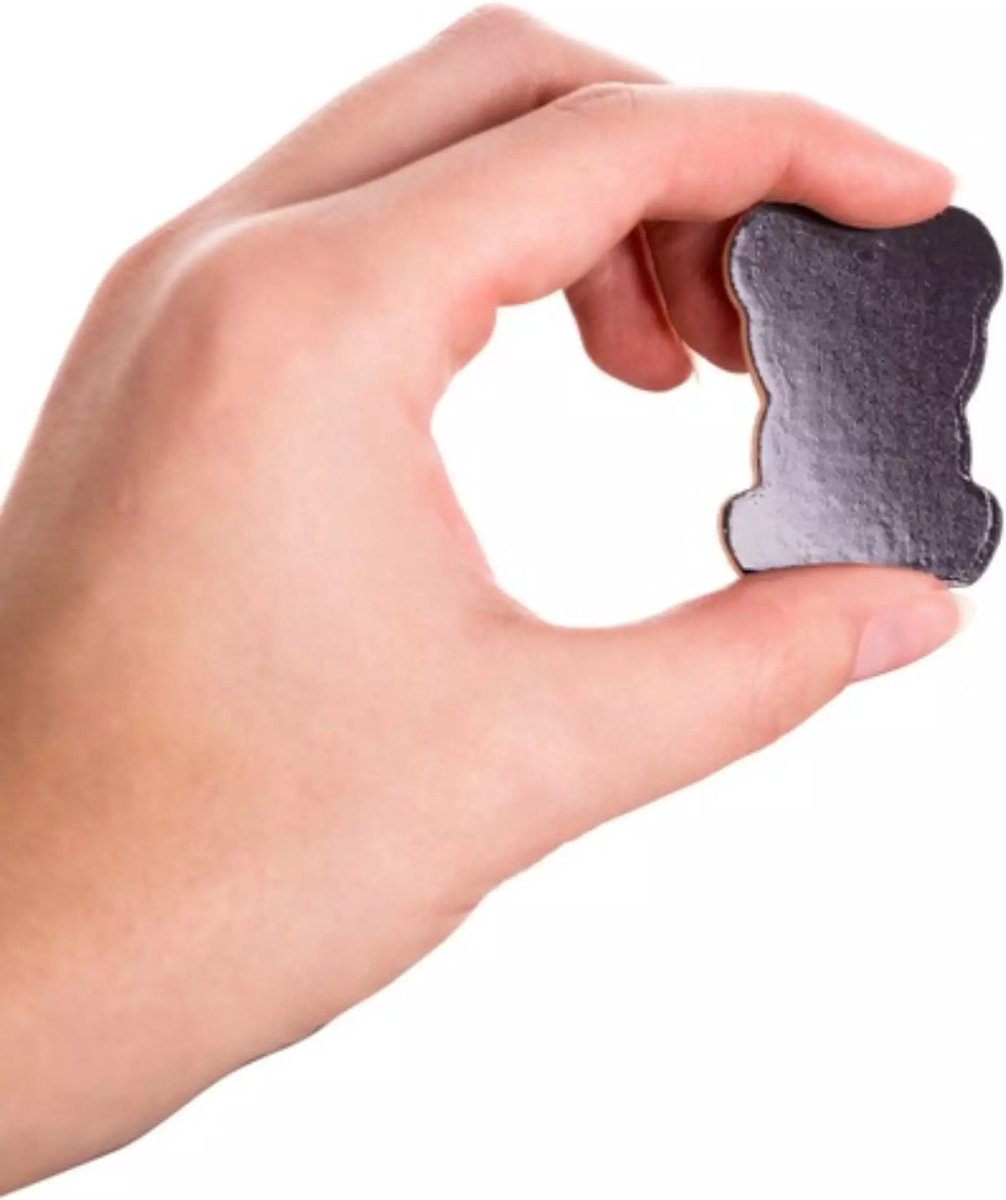 Kruzzel Natuur Magneten Set van 12 - Perfect voor Koelkast en Educatie