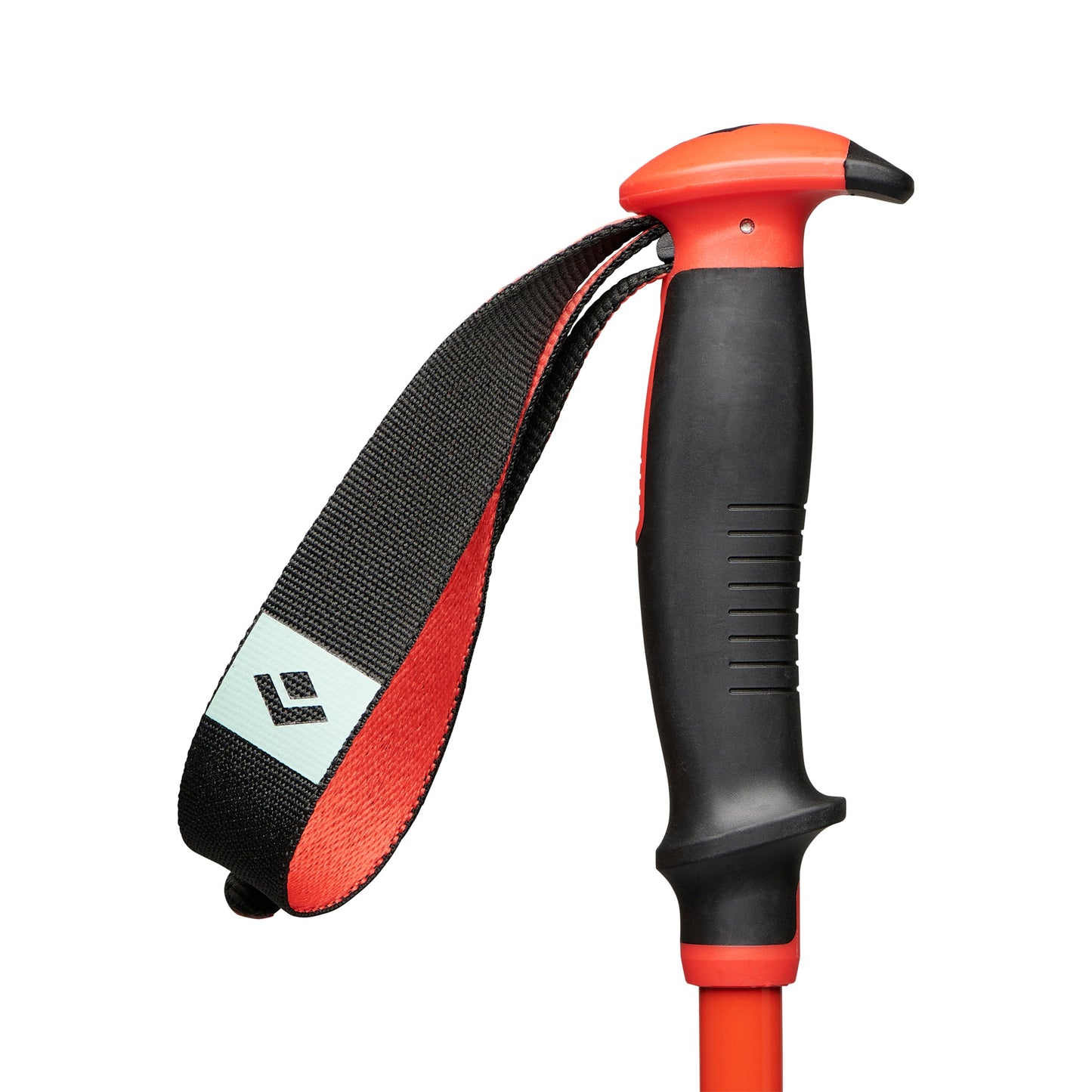 Traverse Ski Poles - Past Season