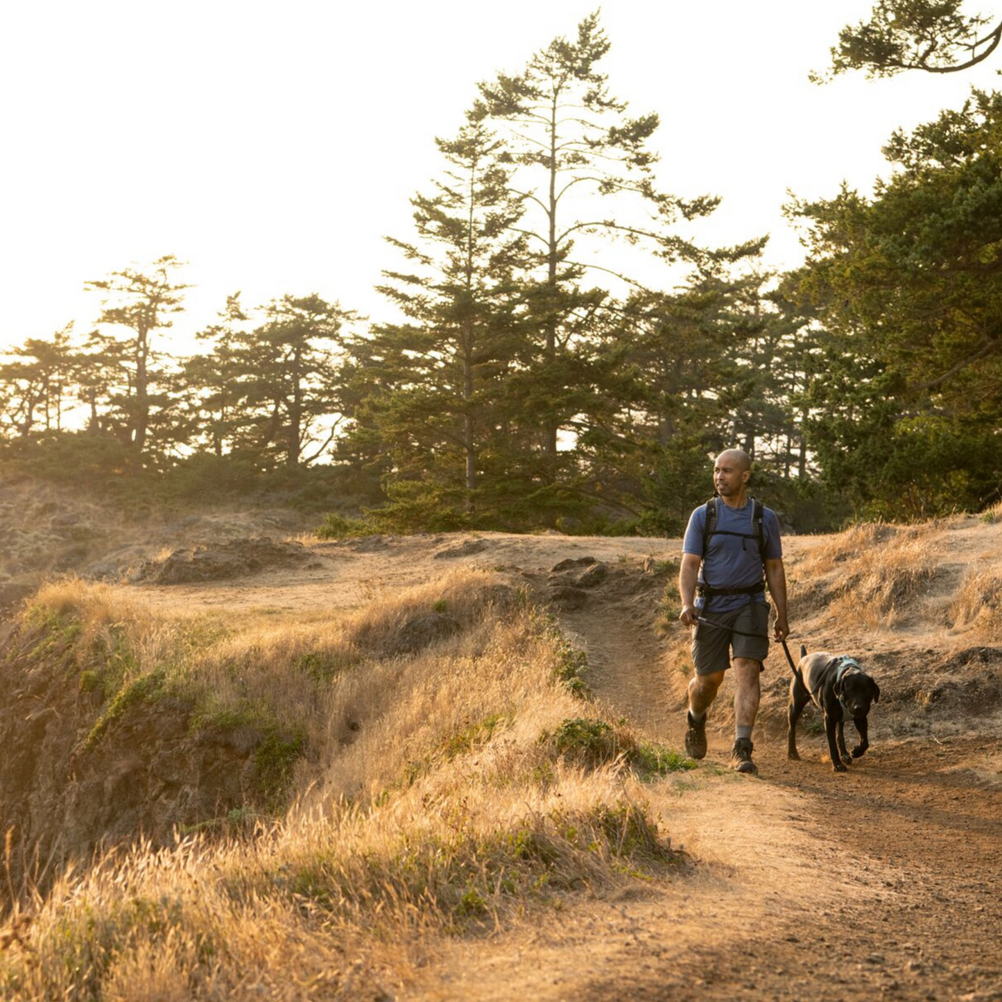 RUFFWEAR　フロントレンジハーネス　ブループール